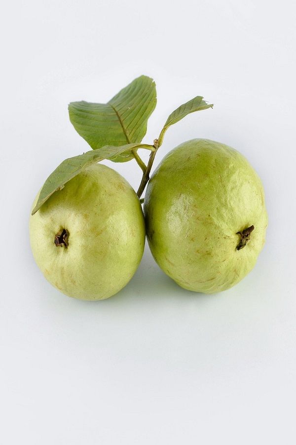 Guava