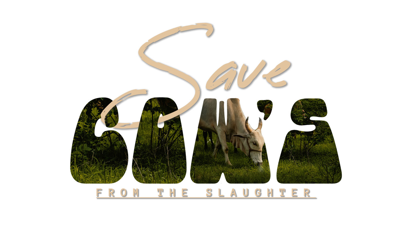 Logo Design & Brand Marks design by Harish Kumar