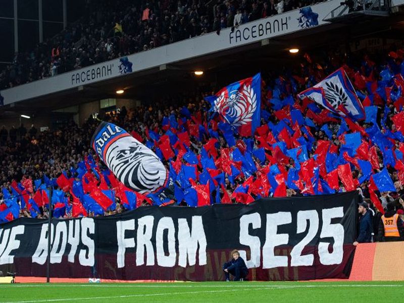 Crystal palace fans