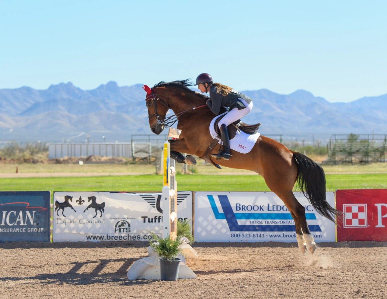 Olympic Equestrian Jumping Tickets