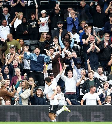 Fulham supporters cheering for a player during a match