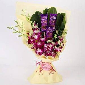 Orchid Gala