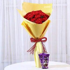 20 carnations bouquet dairy milk silk combo