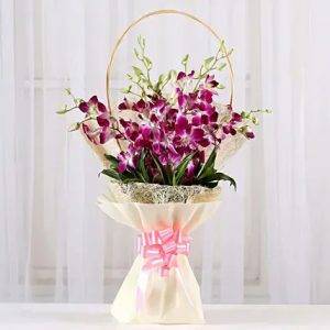 Purple Elegance