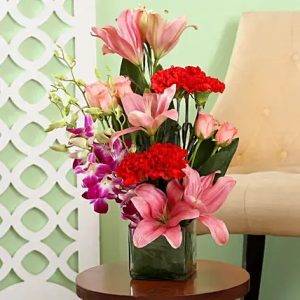 Mixed Delight