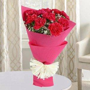 Beauty of Carnation