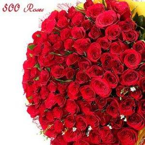 Gorgeous Reds