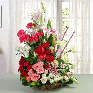 Delightful Splendor