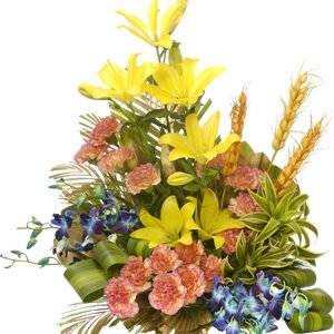 Blooms of Mist