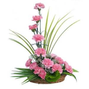 Beautiful Gerberas