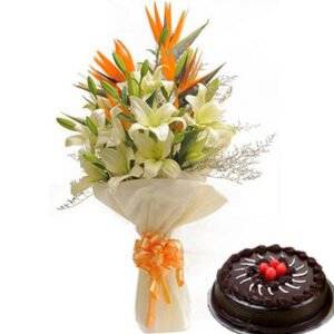 Choco Splendor