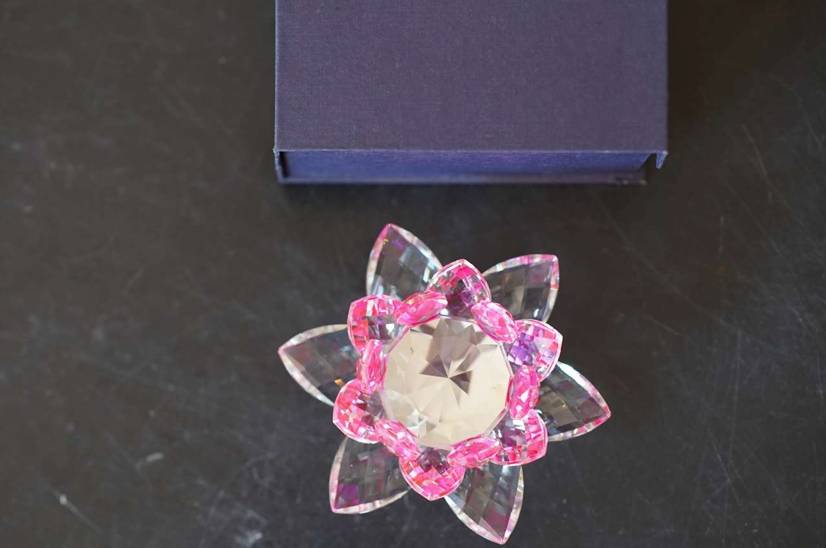 Lotus Revoling Pink