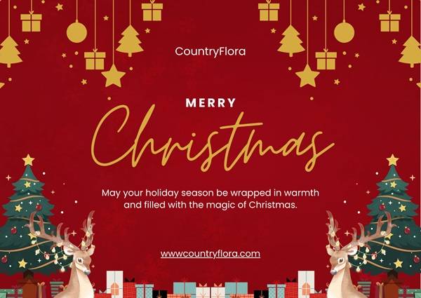 Merry Christmas Greeting