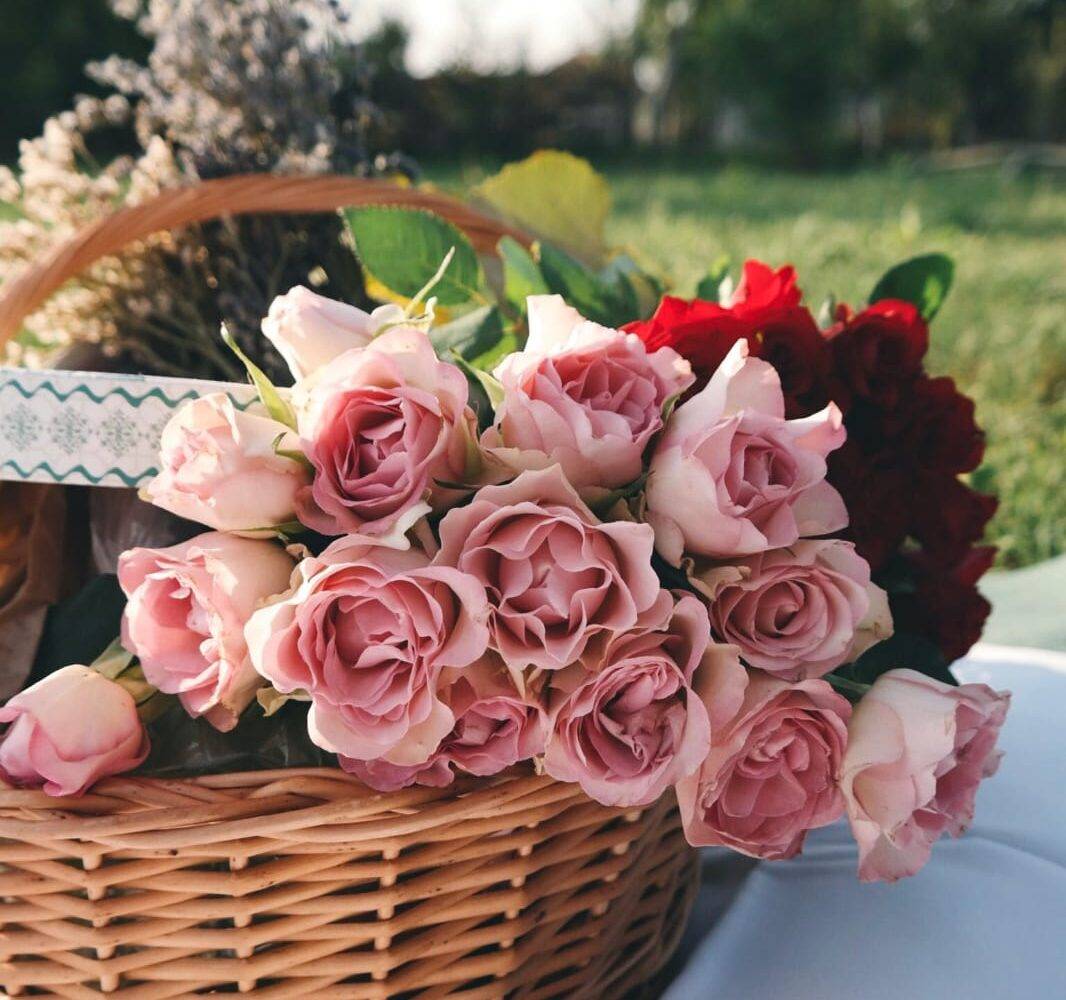 Rose Day