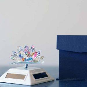 Soler Lotus Small White