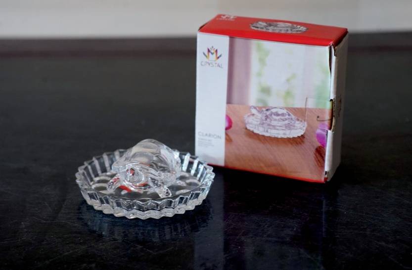 Turtle Miny Set Wit Plate