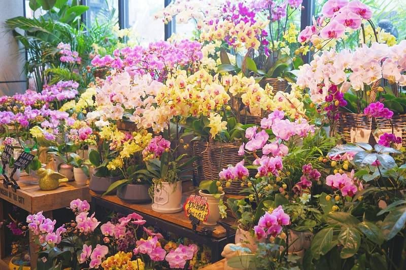 flower shop