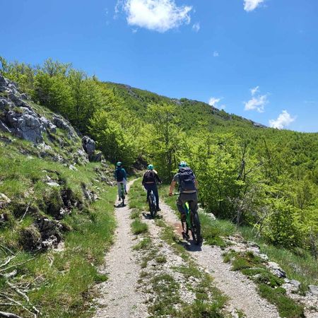 Lovcen Express E-bike Tour