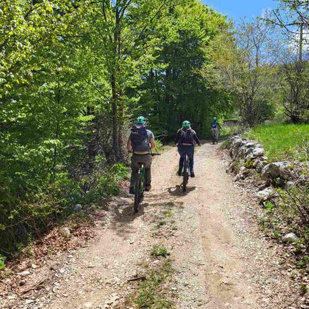 Lovcen Express E-bike Tour