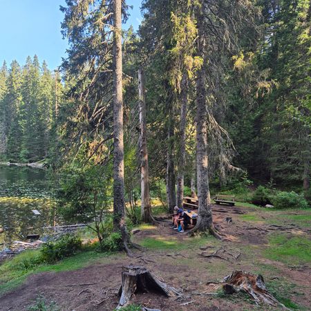 Peaks, Lakes & Legends: The Ultimate Montenegro E-Bike Adventure