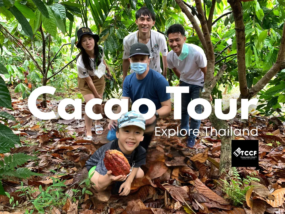 Chiang Mai Cacao Farm Trip