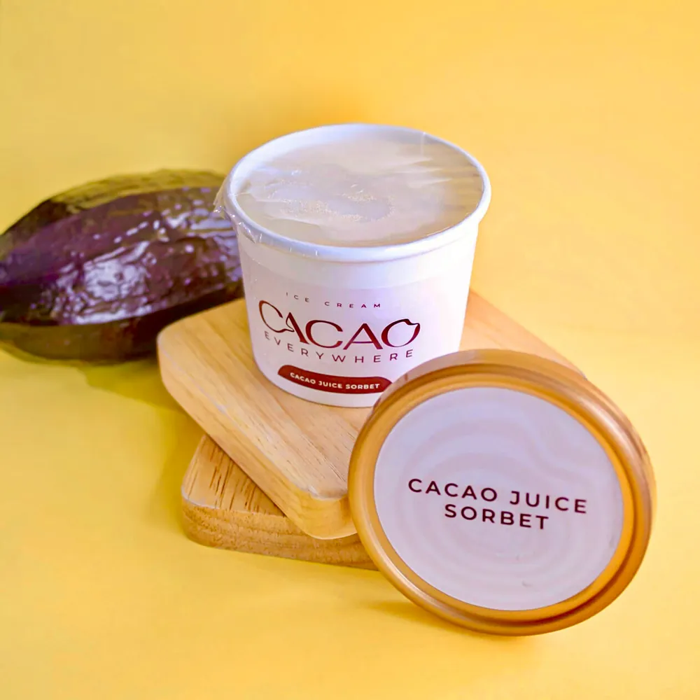 Ice Cream Cacao Juice sorbet