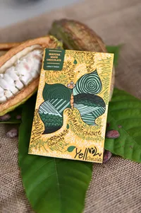 Yellow Matcha White Chocolate