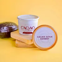 Ice Cream Cacao Juice sorbet