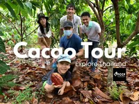 Chiang Mai Cacao Farm Trip