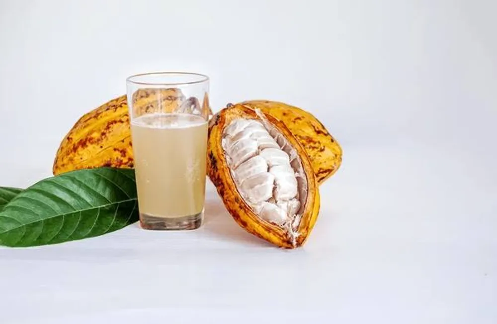 Fresh Cacao Juice