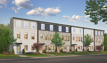 rendering of the colman
