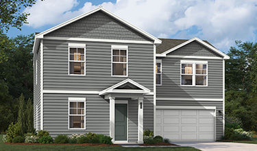 The Nichols Rendering
