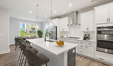 Single Family Homes Available at The Preserve at Turner Farm