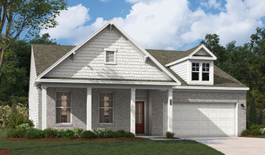 elevation q rendering