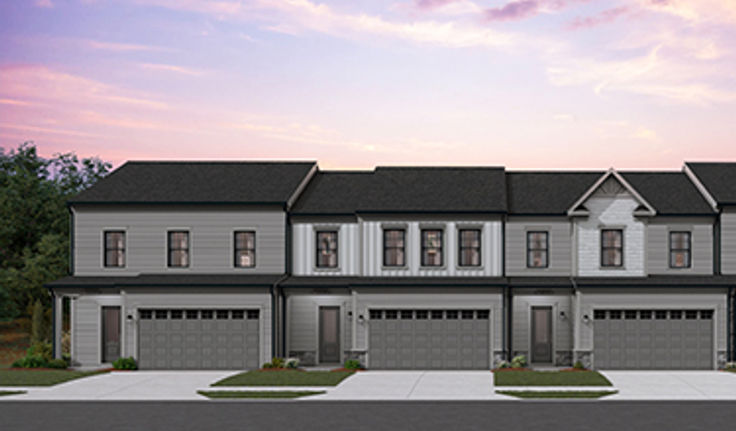 elevation strip rendering