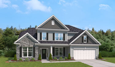 Exterior Rendering of The Congaree