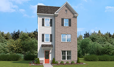 elevation rendering