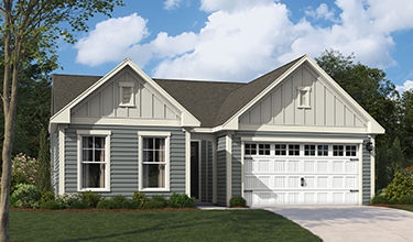 elevation rendering