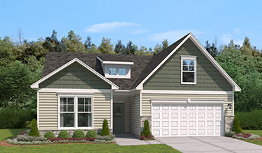 everest rendering