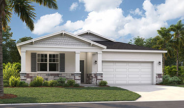 Elevation Rendering of the Juniper