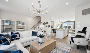 The Jenkins at The Woodlands Elevation P
