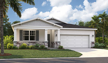 Elevation Rendering of the Juniper