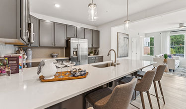 dining and family room