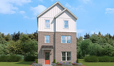 elevation g rendering