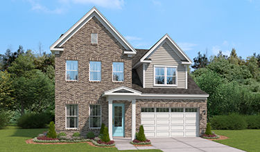 rendering image