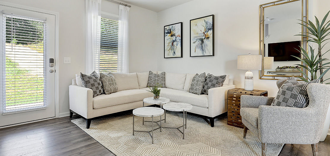 Cozy living room in a model home.