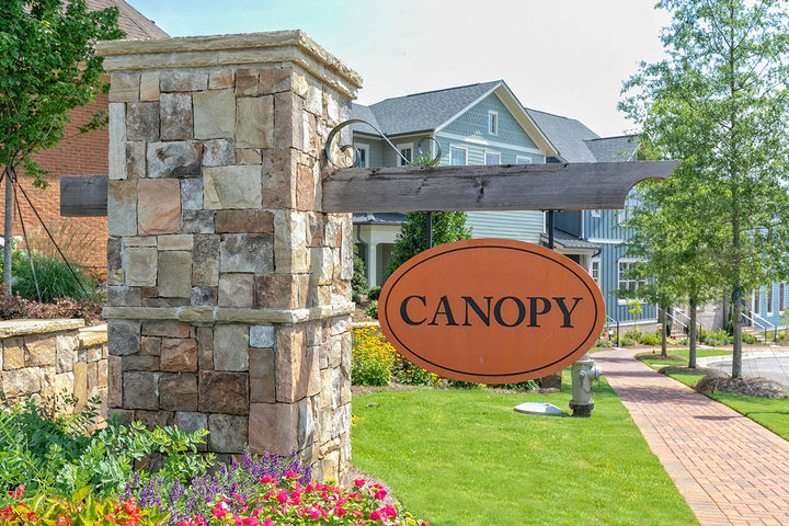 Welcome to Canopy