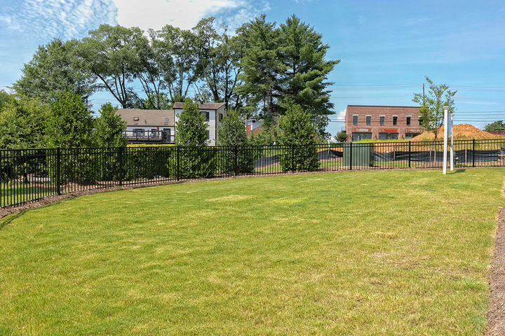 Neighborhood dog park for furry friends