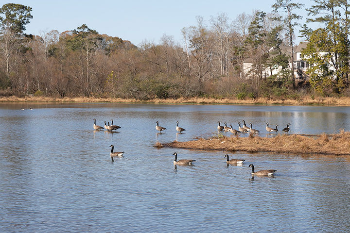 Cagle Lake