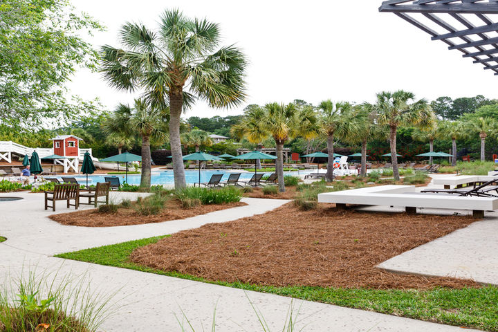 Amenity Pool Area